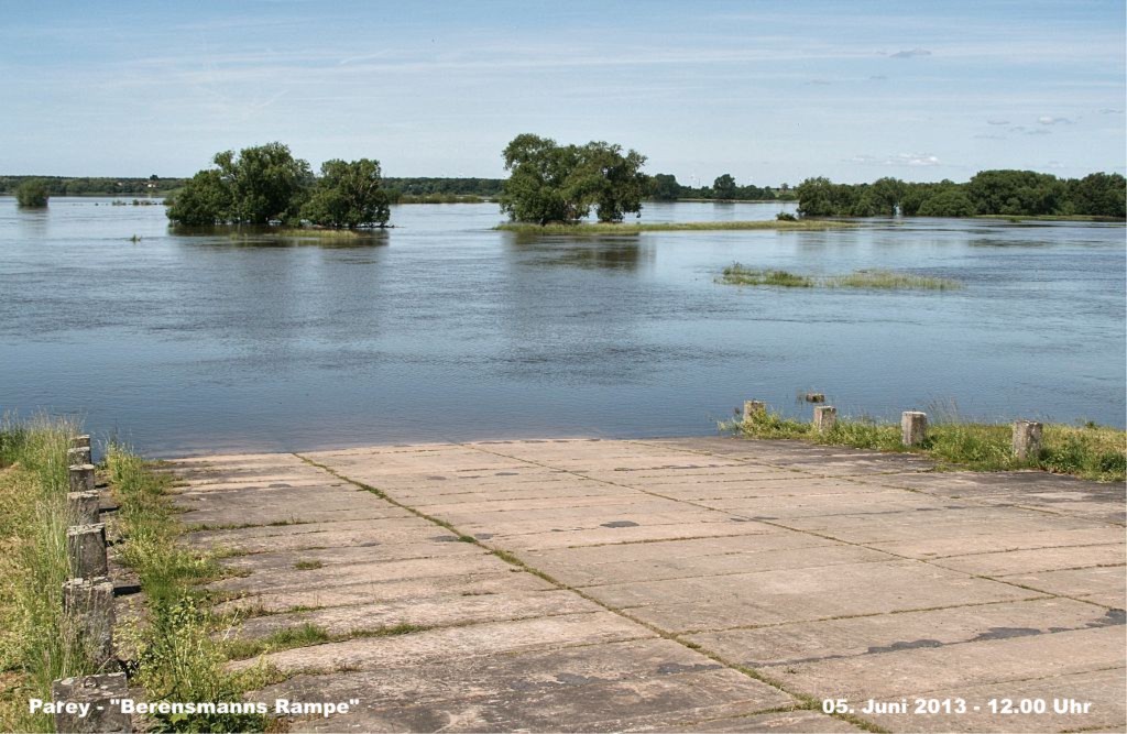 Hochwasser- 2013_06_05-004-Parey.jpg